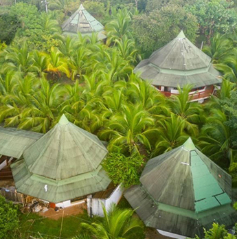 Jungle Hostel Panama