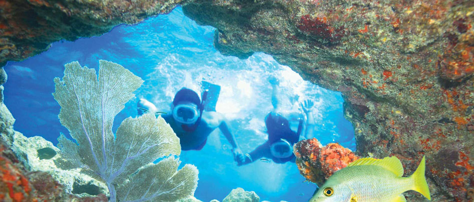 coiba snorkeling