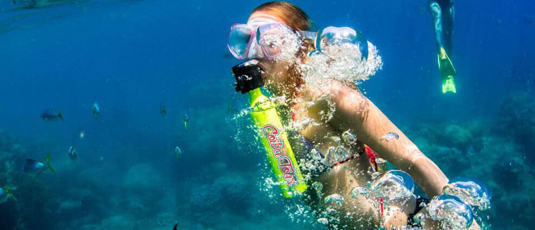 Coral reef exploration Coiba Island