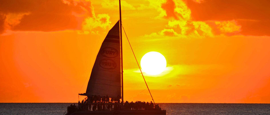 Coiba Island dolphin watching