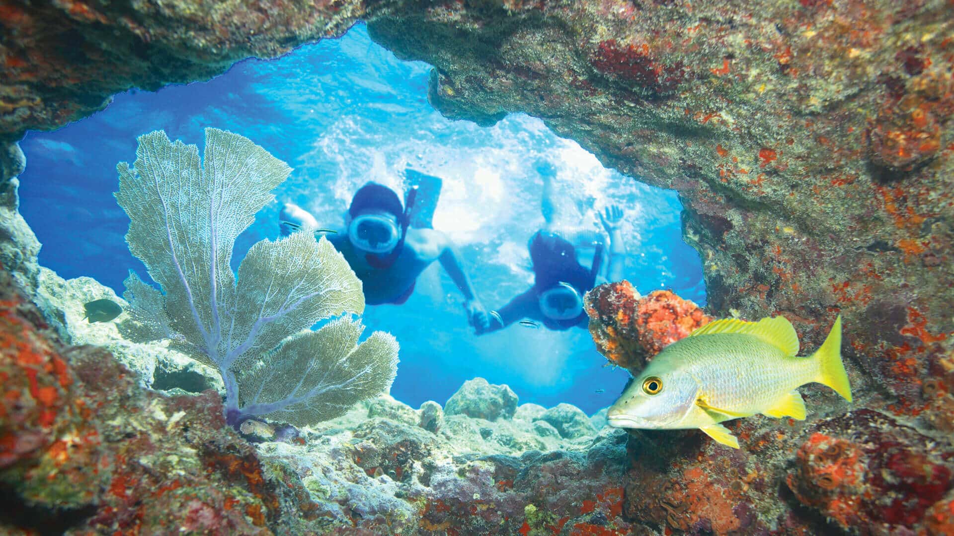 Image of couple on the Fury Morning Snorkel Tour