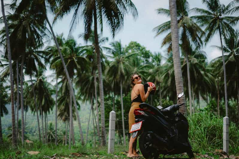 Coiba Island Whale Watching Tour